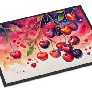 NEW Colorful Cherries Doormat Front Door Mat Indoor Outdoor Rugs for Entryway, Non Slip Washable Low Pile, 18H X 27W